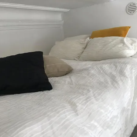 Elegant In Down Town *